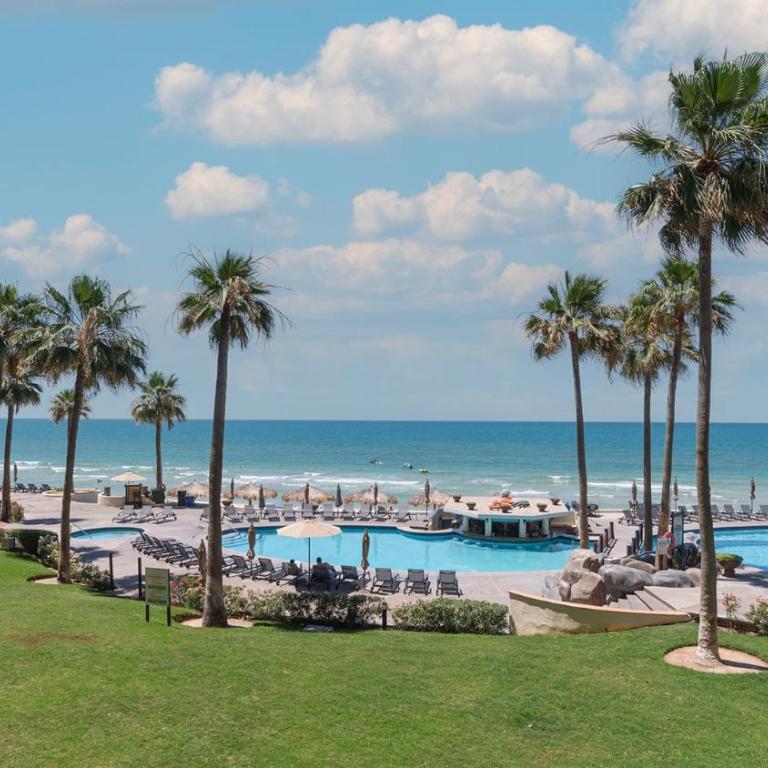 Sandy Sea Turtle Retreat Gem Oceanfront Condo - Casa - 25