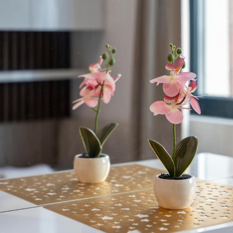 SkyLux Balkan Square - Apartman sa 2 Spavaće Sobe - 31