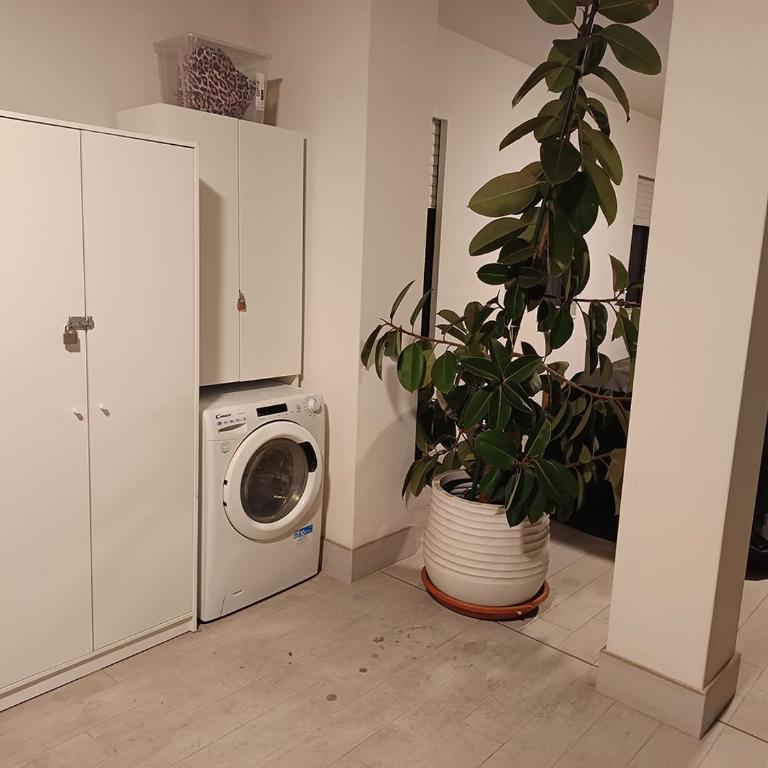 House of Cavani Sea view terrace - Appartamento con 2 Camere da Letto - 36
