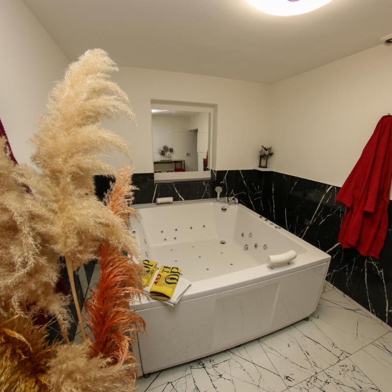 Hedonist Spa Jacuzzi Centar Free private parking - Apartman sa Đakuzijem - 27