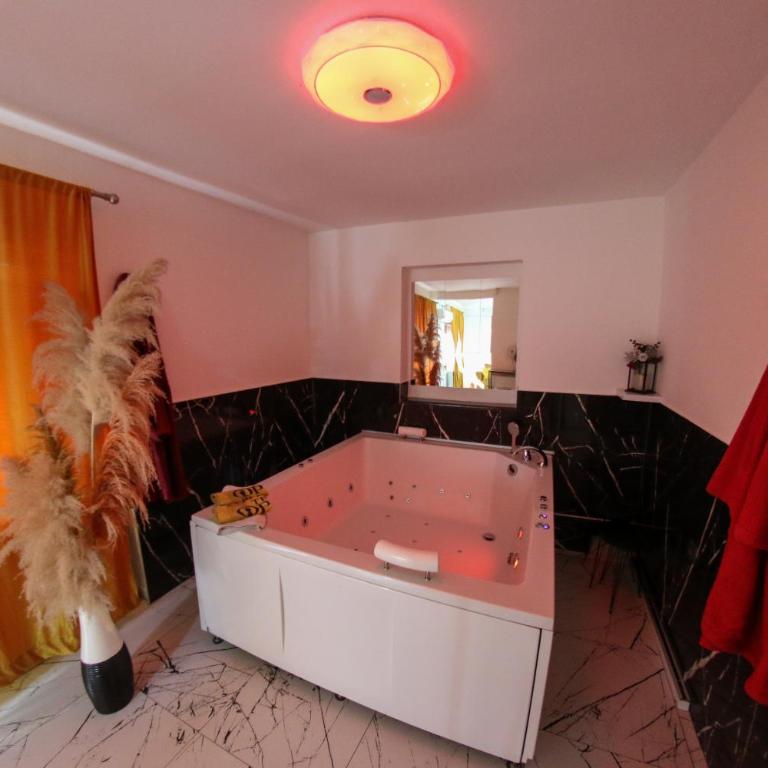Hedonist Spa Jacuzzi Centar Free private parking - Apartman sa Đakuzijem - 18