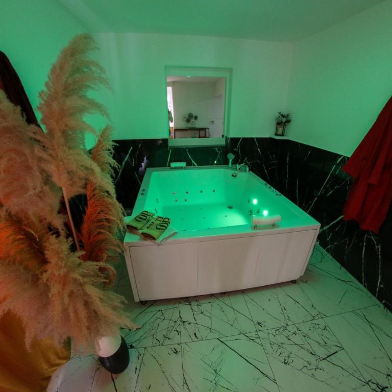 Hedonist Spa Jacuzzi Centar Free private parking - Apartman sa Đakuzijem - 34