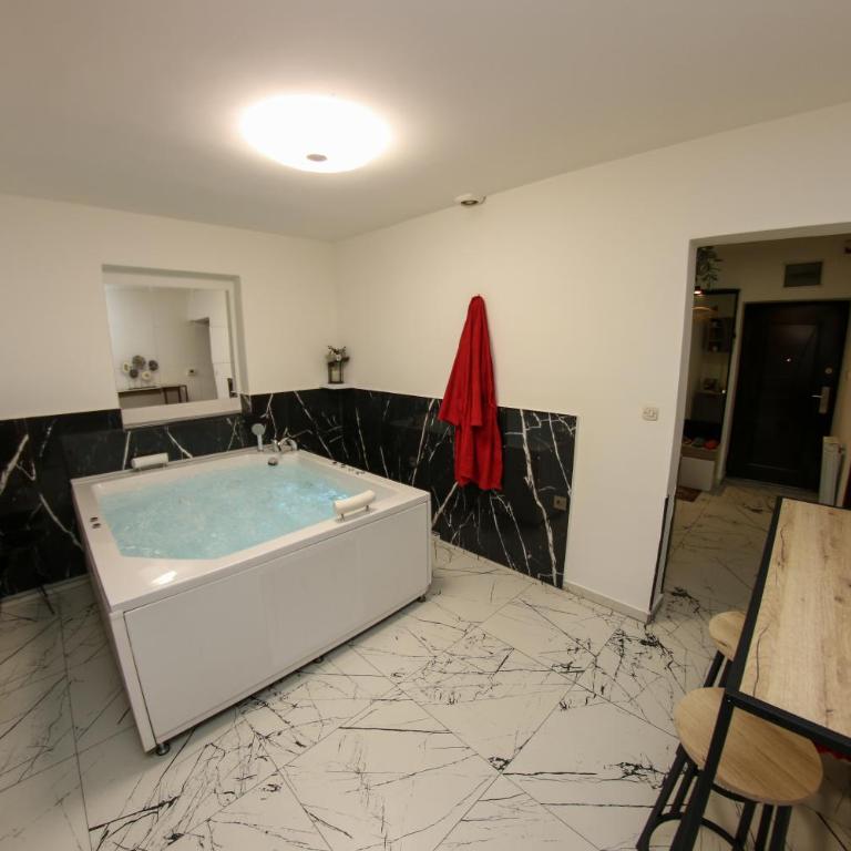Hedonist Spa Jacuzzi Centar Free private parking - Apartman sa Đakuzijem - 24