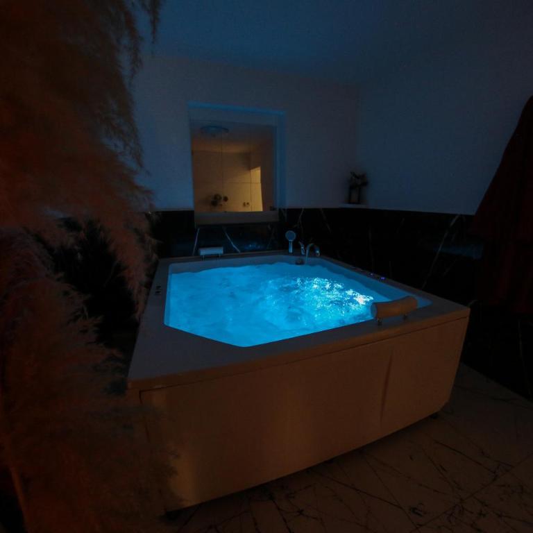 Hedonist Spa Jacuzzi Centar Free private parking - Apartman sa Đakuzijem - 32