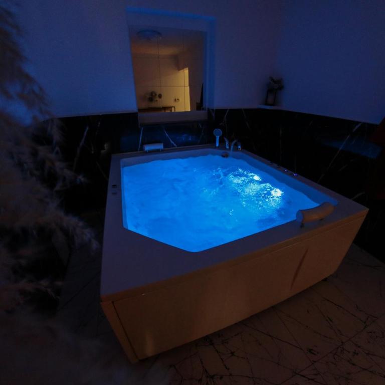 Hedonist Spa Jacuzzi Centar Free private parking - Apartman sa Đakuzijem - 23