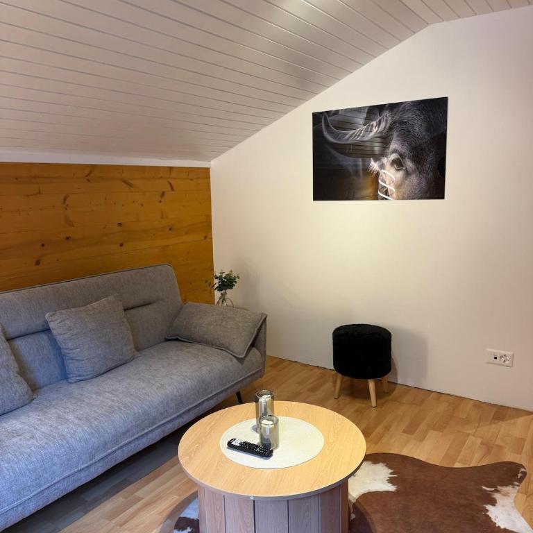 Chalet with Mountain View ,Near Aletsch Arena - Apartment mit 2 Schlafzimmern - 10