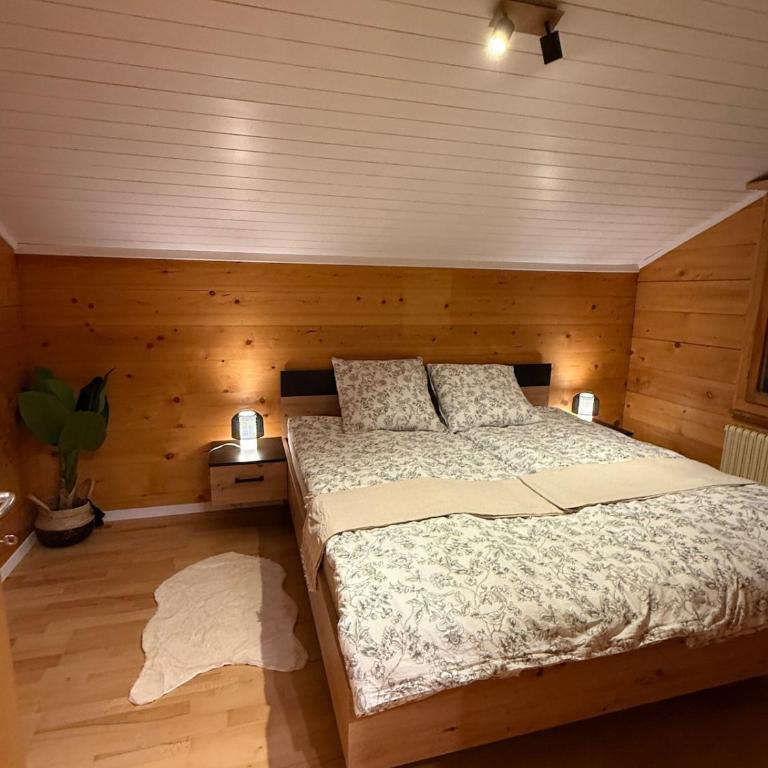 Chalet with Mountain View ,Near Aletsch Arena - Apartment mit 2 Schlafzimmern - 1