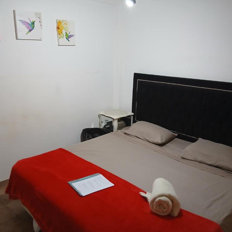 El salvador, Serrano - Apartamento de 1 dormitorio - 10
