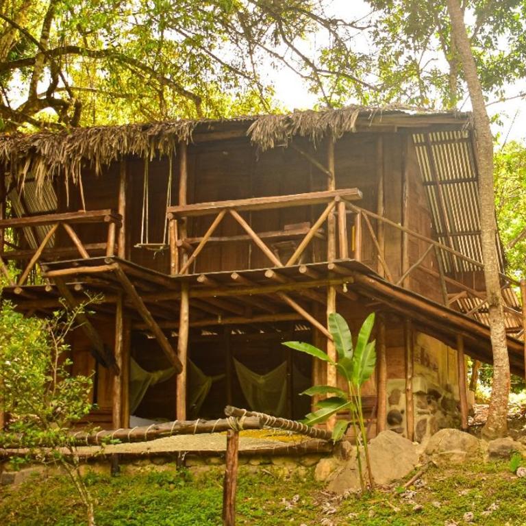 Rio Elemento Minca - Single Room with Shared Bathroom - 1
