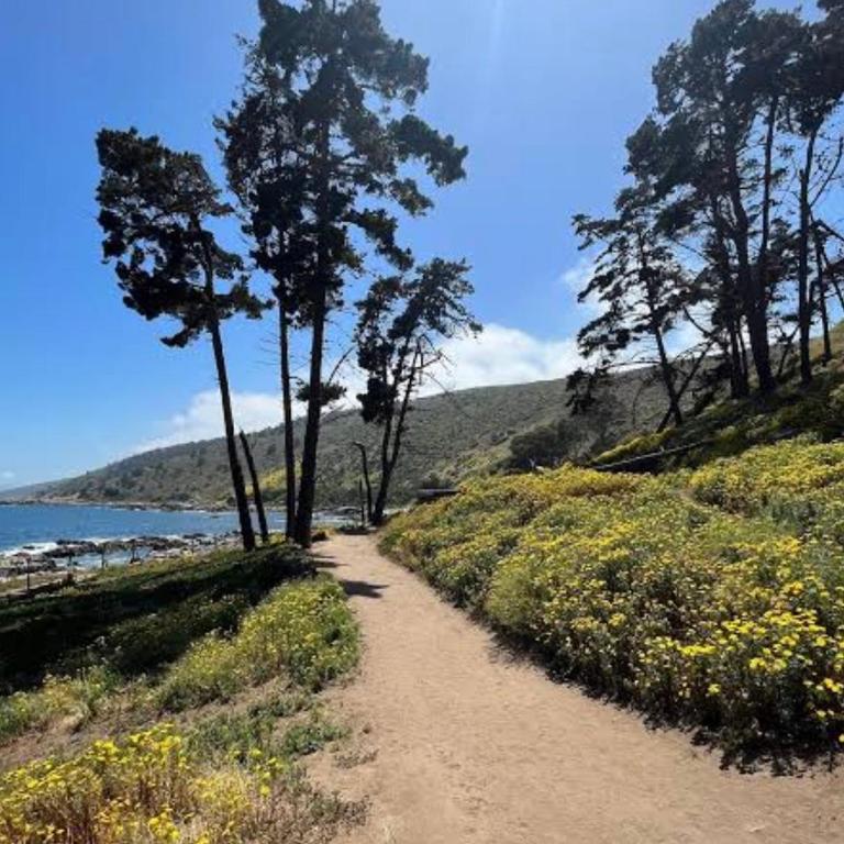 Hermoso Depto Laguna Papudo vista al Mar - Two-Bedroom Apartment - Oceanfront - 8