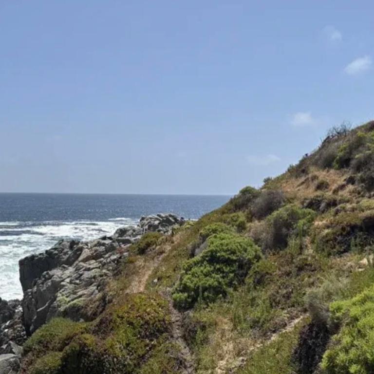 Hermoso Depto Laguna Papudo vista al Mar - Two-Bedroom Apartment - Oceanfront - 12