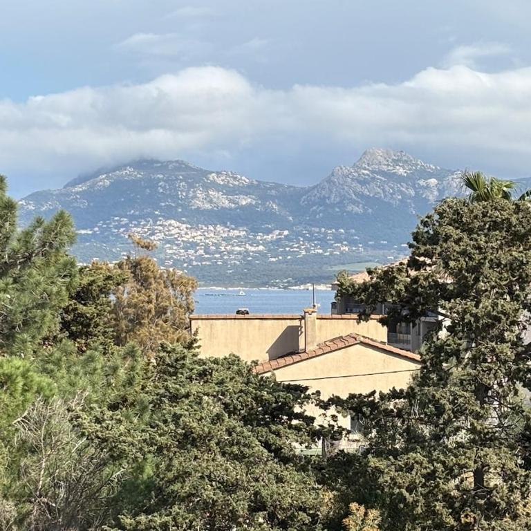 Bright studio sea and city center within walking distance - One-Bedroom Apartment - 9
