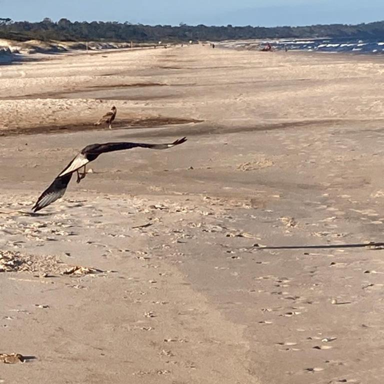 Monoambiente rodeado de Naturaleza - Apartamento de 2 dormitorios - 2