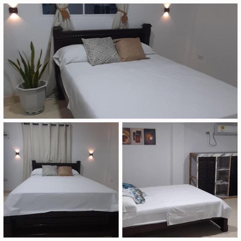 Nature View - Apartamento de 1 dormitorio con balcón - 12