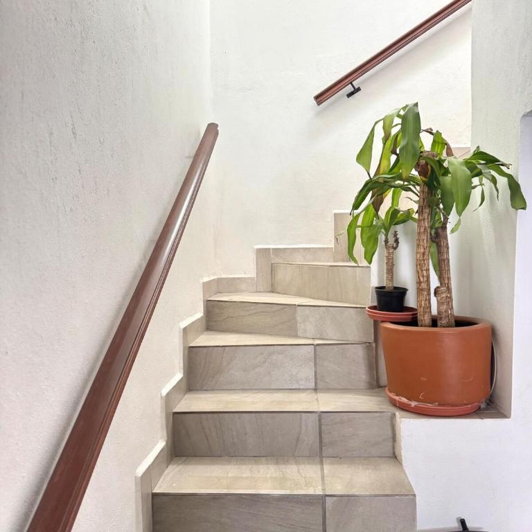 Vivencia GTO 4BR Rooftop w Private Garage 15m Dtwn - Four-Bedroom Vacation Home - 20