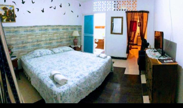 Estudio Triple New trinsan - Apartamento de 1 dormitorio - 3