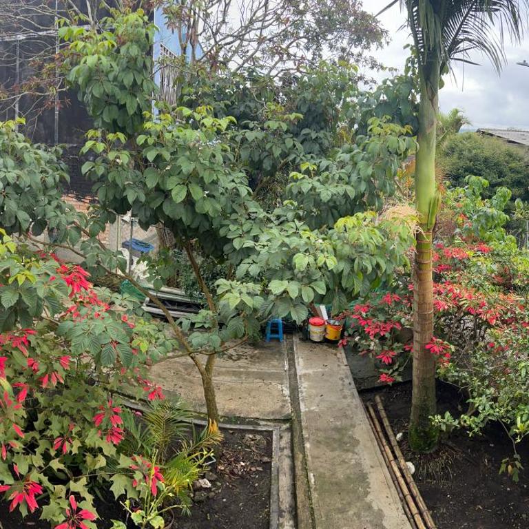 Casa Armonía Popayán - Three-Bedroom Apartment - 5