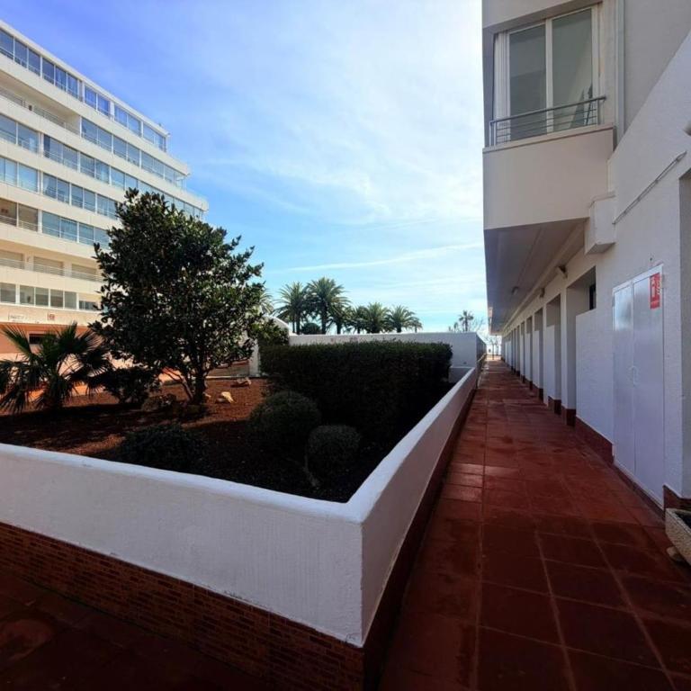 Apartamento para 6 personas en Rosas, acceso a la playa - ES-204-69 - Apartment - 5