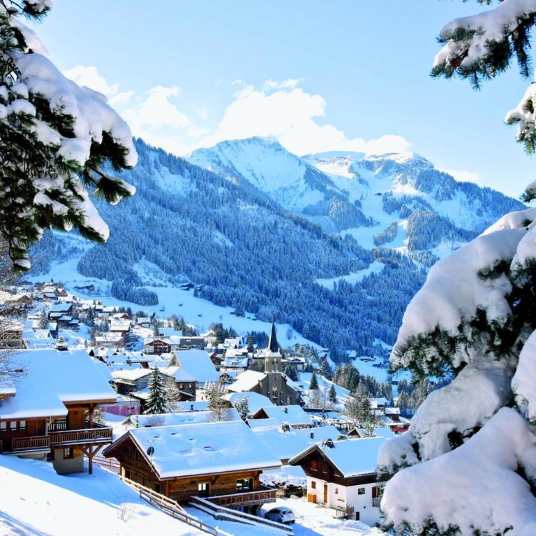 Charmant 2 pièces près des remontées à Châtel - FR-1-676-6 - Appartement - 13