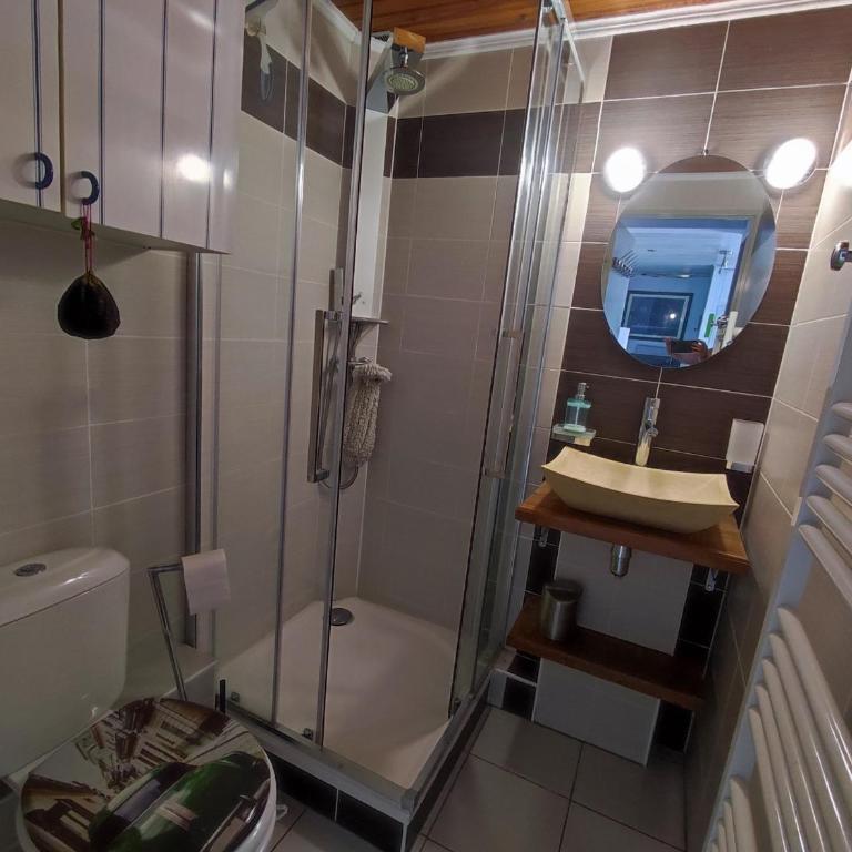 Pavillon climatisé avec terrasse - 4 pers. - FR-1-776-151 - Villa - 9