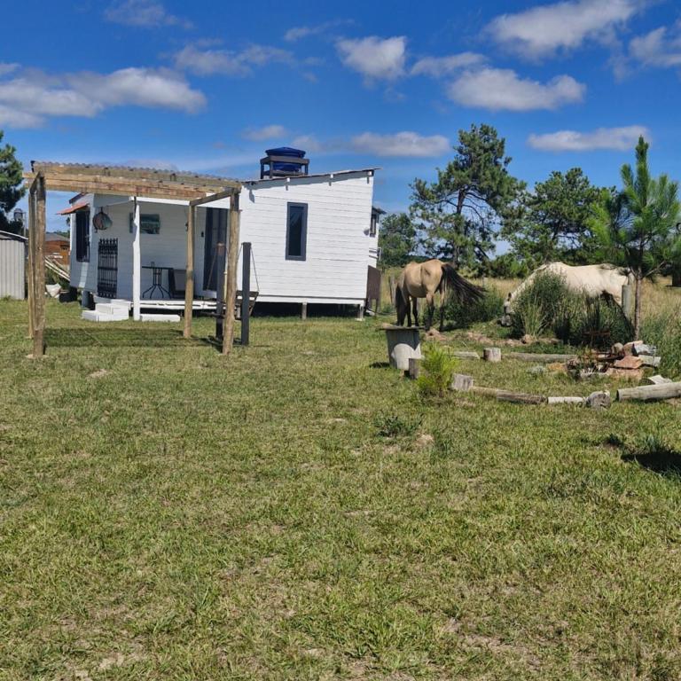 Eco Cabaña Mayjora Refugio natural en el campo, entre el océano Atlántico y la laguna Garzon - One-Bedroom House - 7