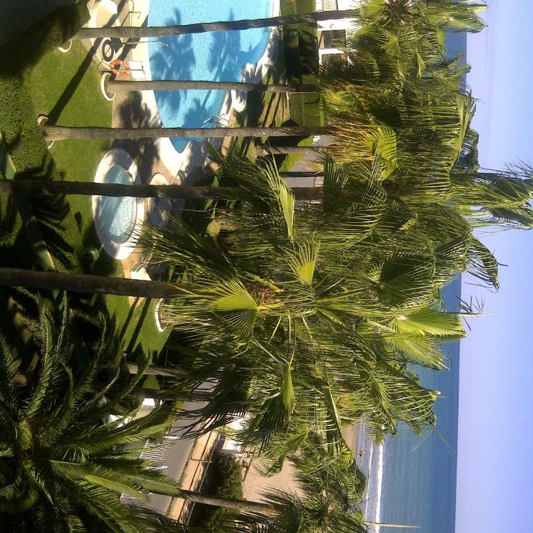 Apartment Martinez Casablanca - Apartamento - Planta baja - 56
