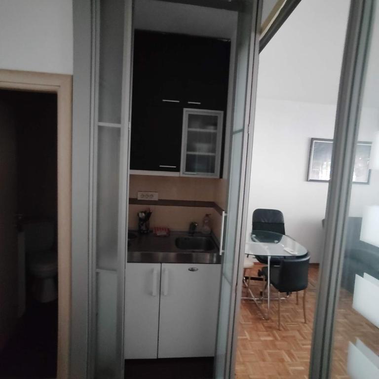 Arena New Belgrade superb studio - Apartman sa 1 Spavaćom Sobom - 3