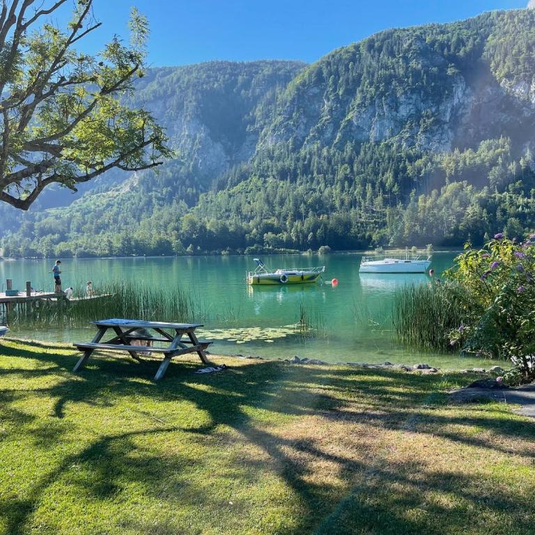 Ferienwohnung Seestern-Mondsee - Apartment with Mountain View - 11