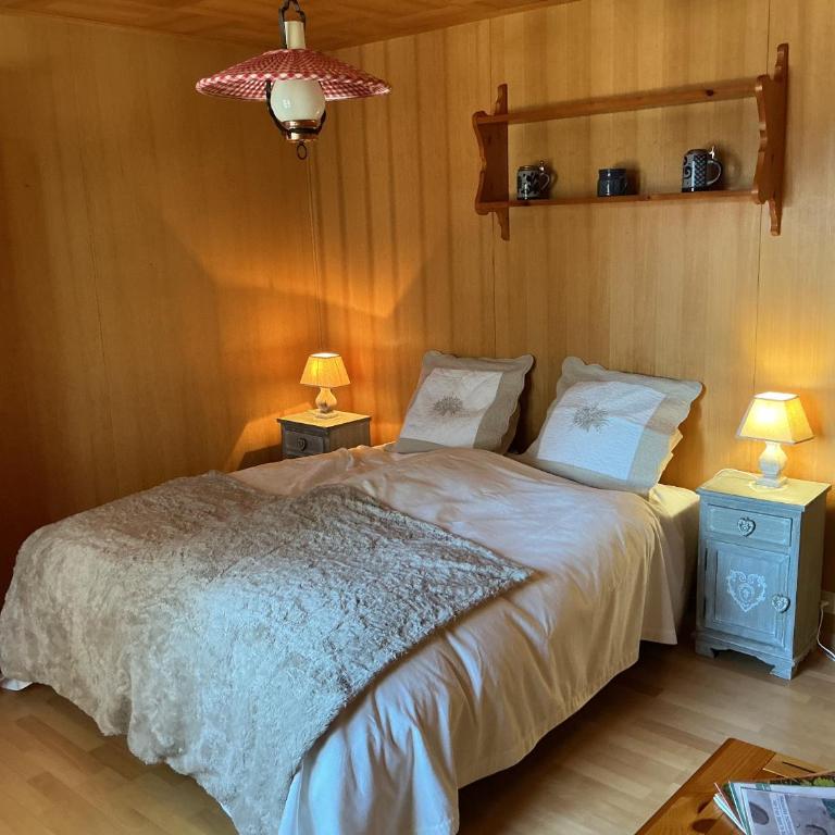 Chalet Privé avec vue imprenable sur les alpes - Chalet 3 Chambres - 4