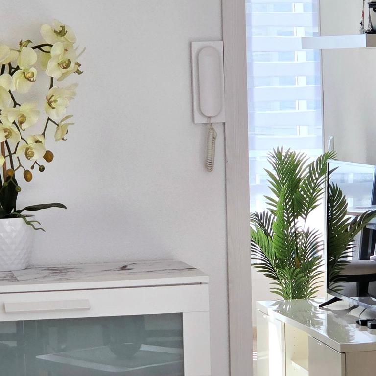 Apartments near Del Cura and Los Locos beaches - One-Bedroom Apartment - 2