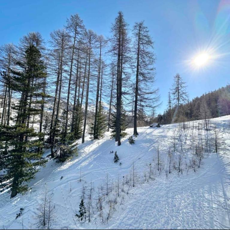 Appart 4 couchage sur les pistes Vars les claux - Appartement 2 Chambres - 17