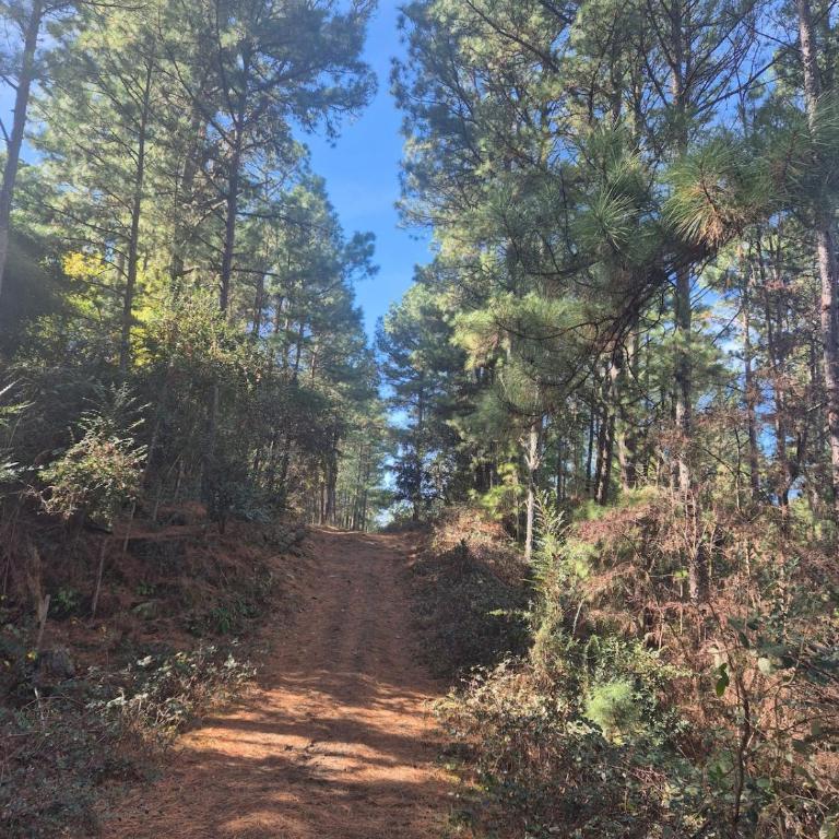 La Casa del Arroyo, Chacras Las Cañitas, Córdoba - Acceso solo 4x4 - Chalet - 3