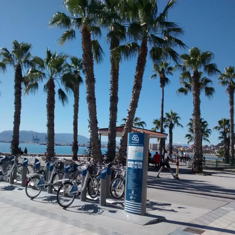 Apartamento Morlaco - Apartment with Sea View - 6