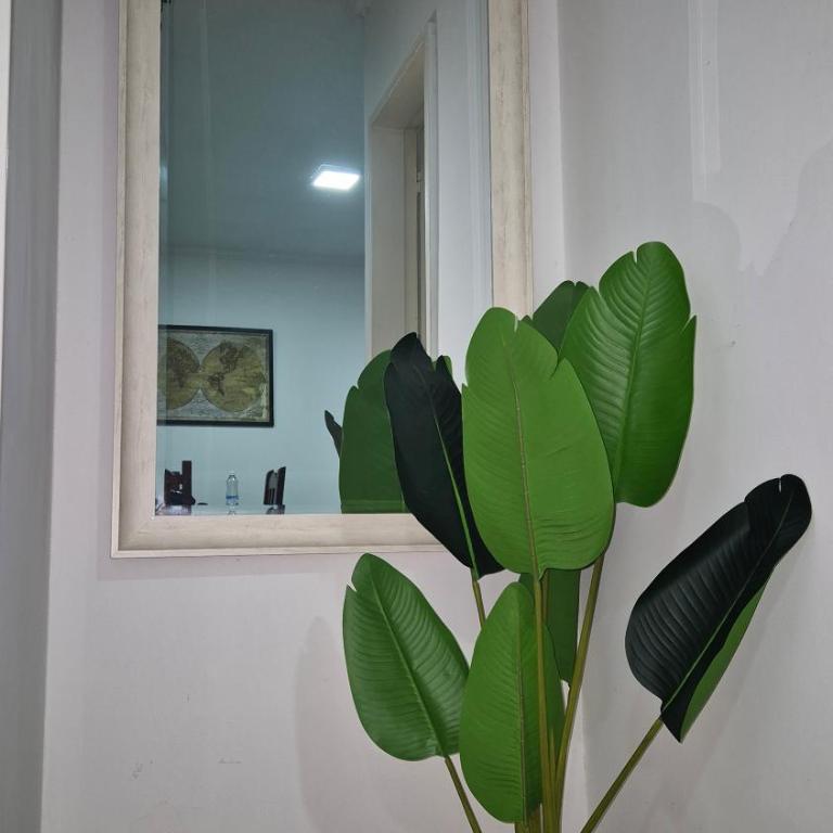 OLI - Exc ubicación, 1 hab, amplio, patio, piscina, apto mascota - Apartamento de 1 dormitorio - 25