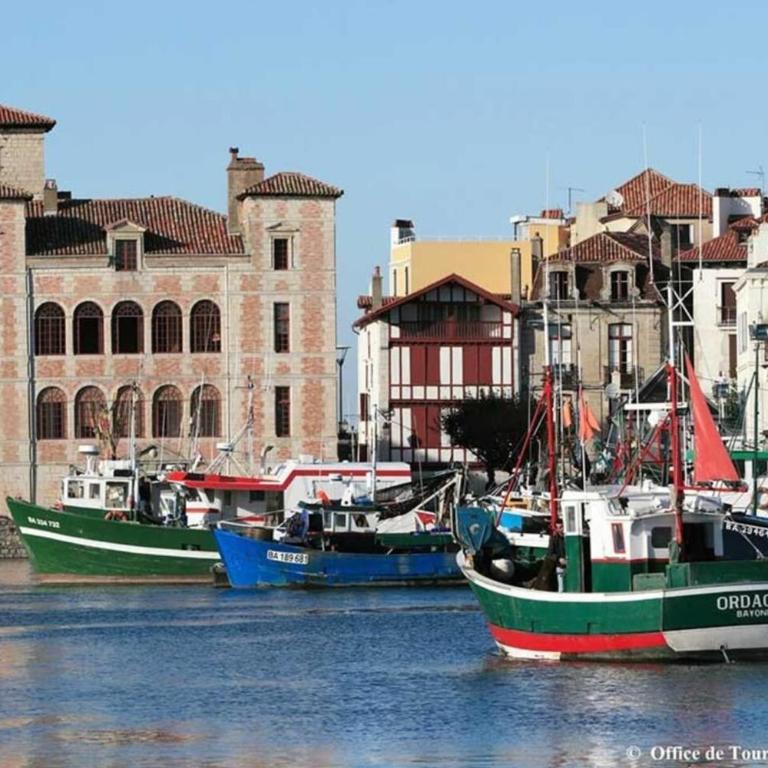 Perle Rare Duplex à Saint-Jean-de-Luz - Appartement - 14