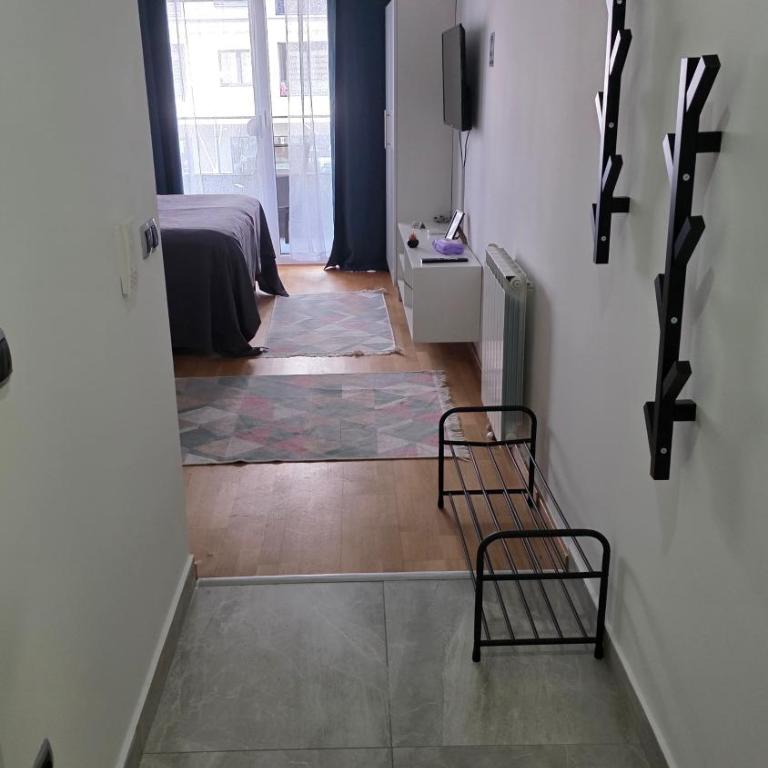 Bulevar free garage 1 - Apartman sa 1 Spavaćom Sobom - 4