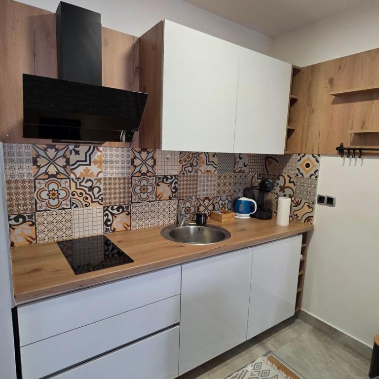 Bulevar free garage 1 - Apartman sa 1 Spavaćom Sobom - 11