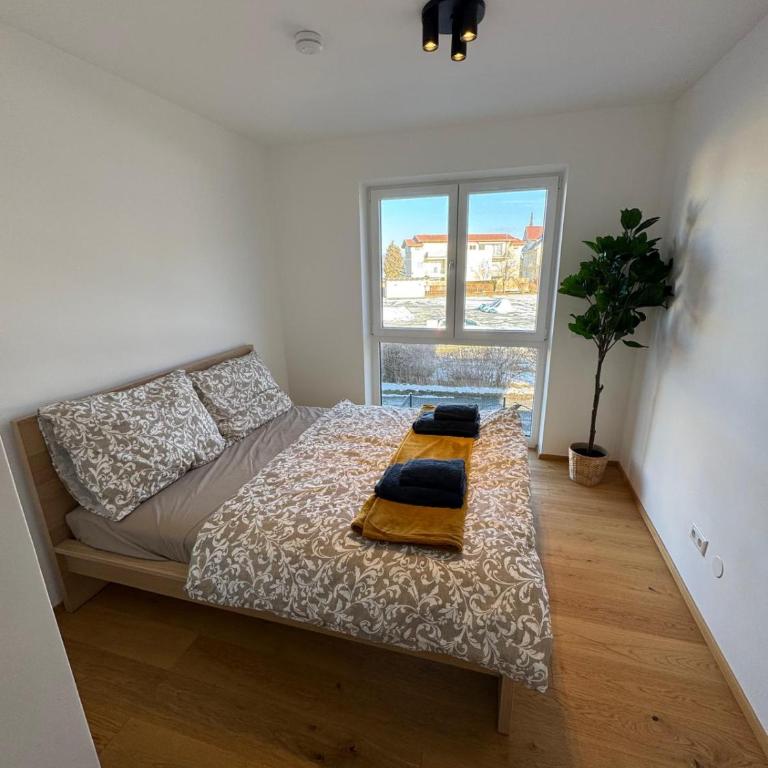 Terrassen Apartment Reifnitz Seeblick Top 4 - Appartamento con 1 Camera da Letto - 16
