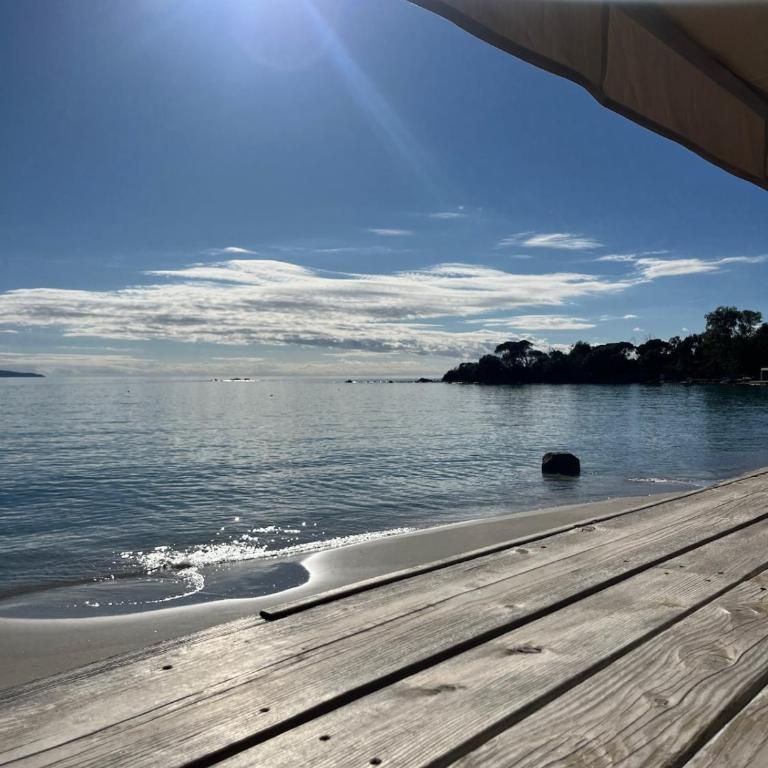 Magnifique appartement vue et accès mer Sanguinaires - Appartement 1 Chambre - 5