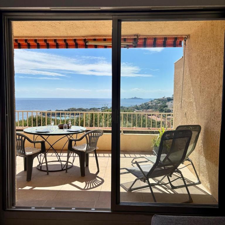 Magnifique appartement vue et accès mer Sanguinaires - Appartement 1 Chambre - 3