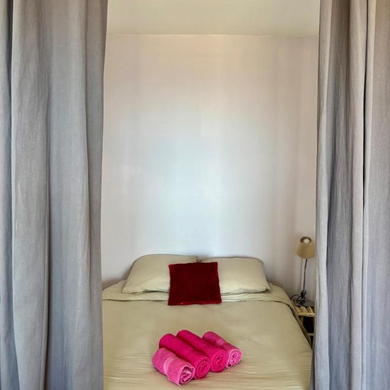 Magnifique appartement vue et accès mer Sanguinaires - Appartement 1 Chambre - 4
