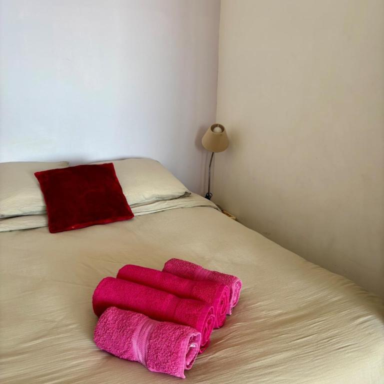 Magnifique appartement vue et accès mer Sanguinaires - Appartement 1 Chambre - 13