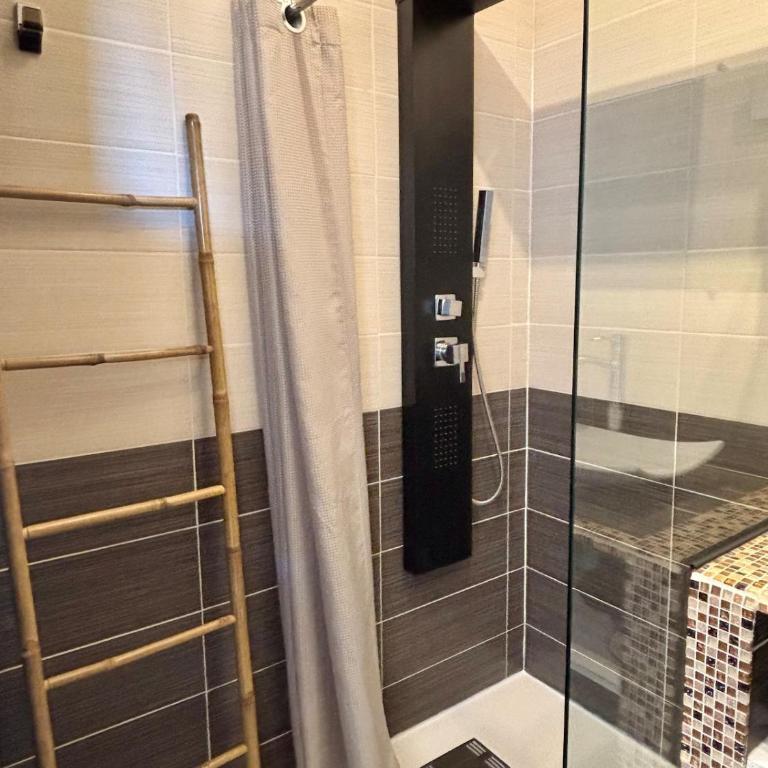 Magnifique appartement vue et accès mer Sanguinaires - Appartement 1 Chambre - 10
