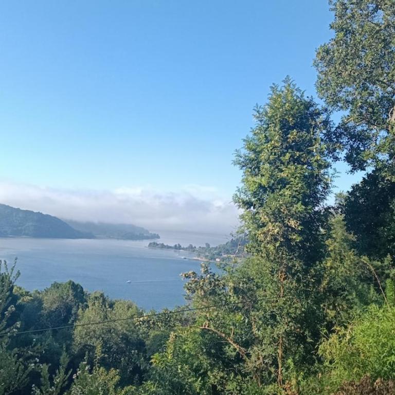 El Estuario Niebla Cabin - Two-Bedroom House - 14