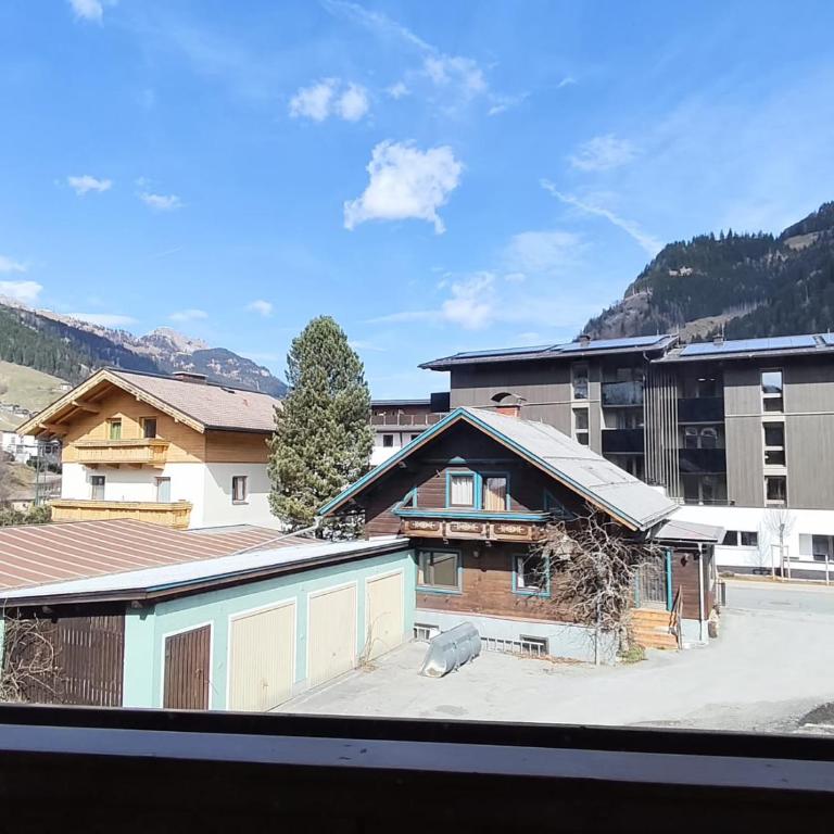 Haus Viehhauser Karl - Apartment mit 1 Schlafzimmer und Balkon - 11