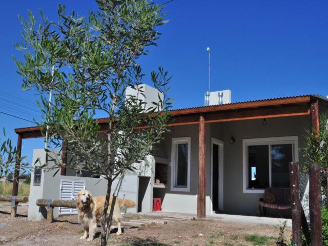 Villa Bonita - Claromecó - Apartamento de 2 dormitorios - 5