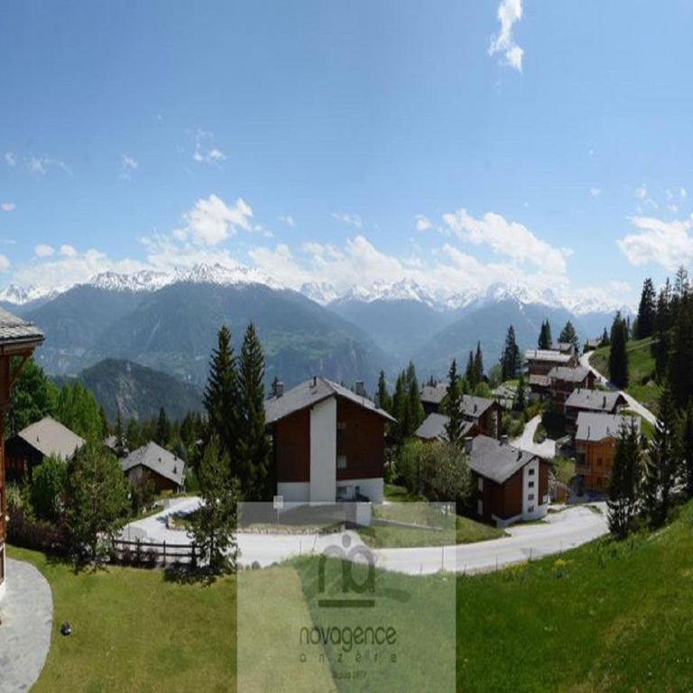 Ancolie 6 a Anzere pres du centre avec vue sur les Alpes - Apartment - 12