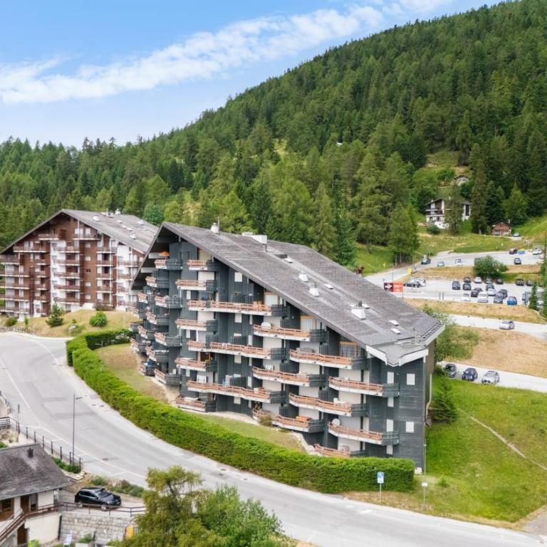 Cristal 702 pres de la telecabine a Anzere avec vue sur les Alpes - Apartment - 43