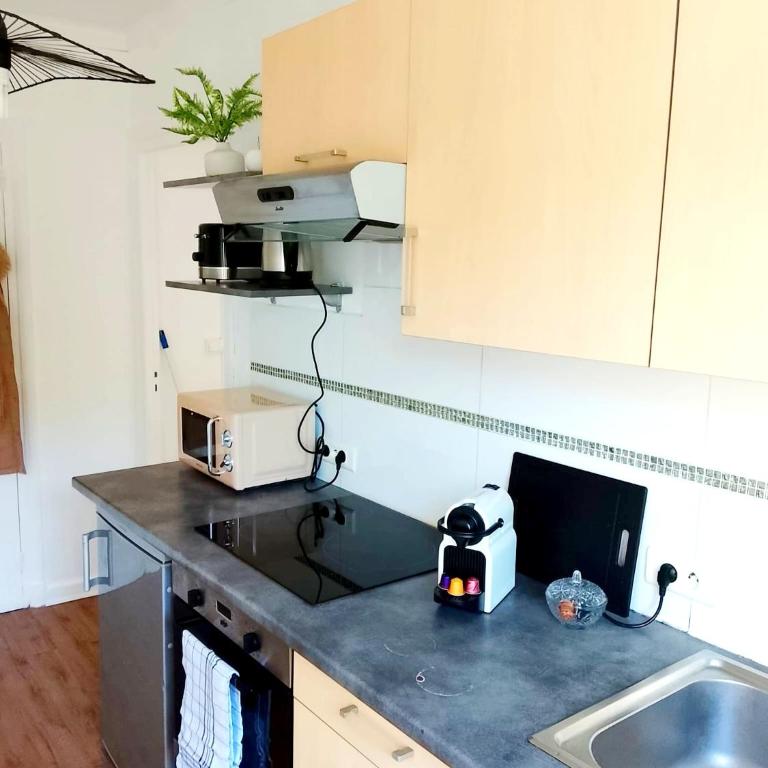 Appartement lumineux 50 mètres carrés rénové proche plage - Appartement 1 Chambre - 4