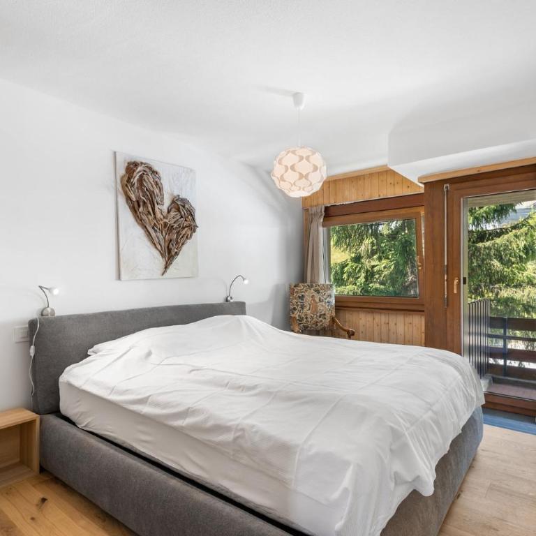 Mercure 202 sur la place du village a Anzere - Apartment - 18
